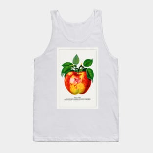 Wolf River Apple Lithograph (1900) Tank Top